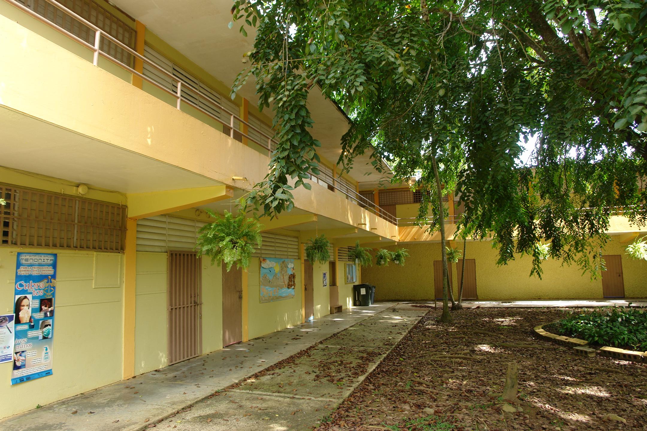 FDII - Aibonito - 2010 00013
